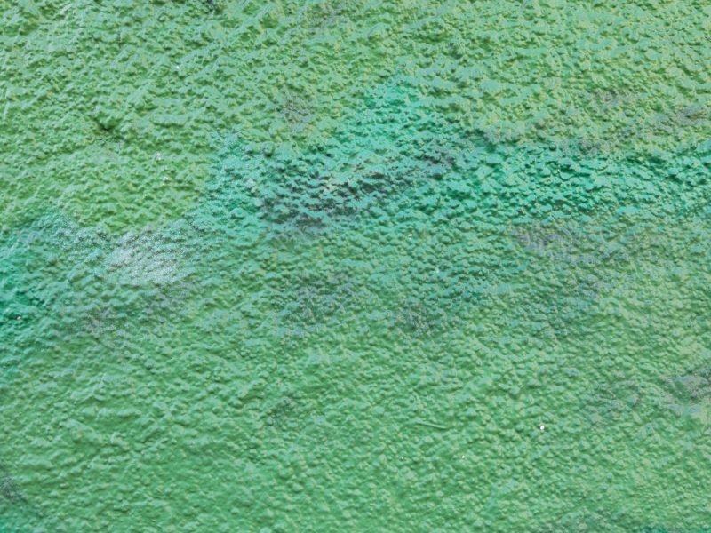 Stucco painted wall texture